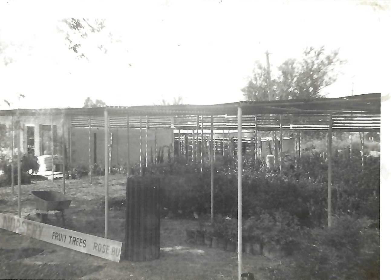 Meador Nursery original shopping area 1950s