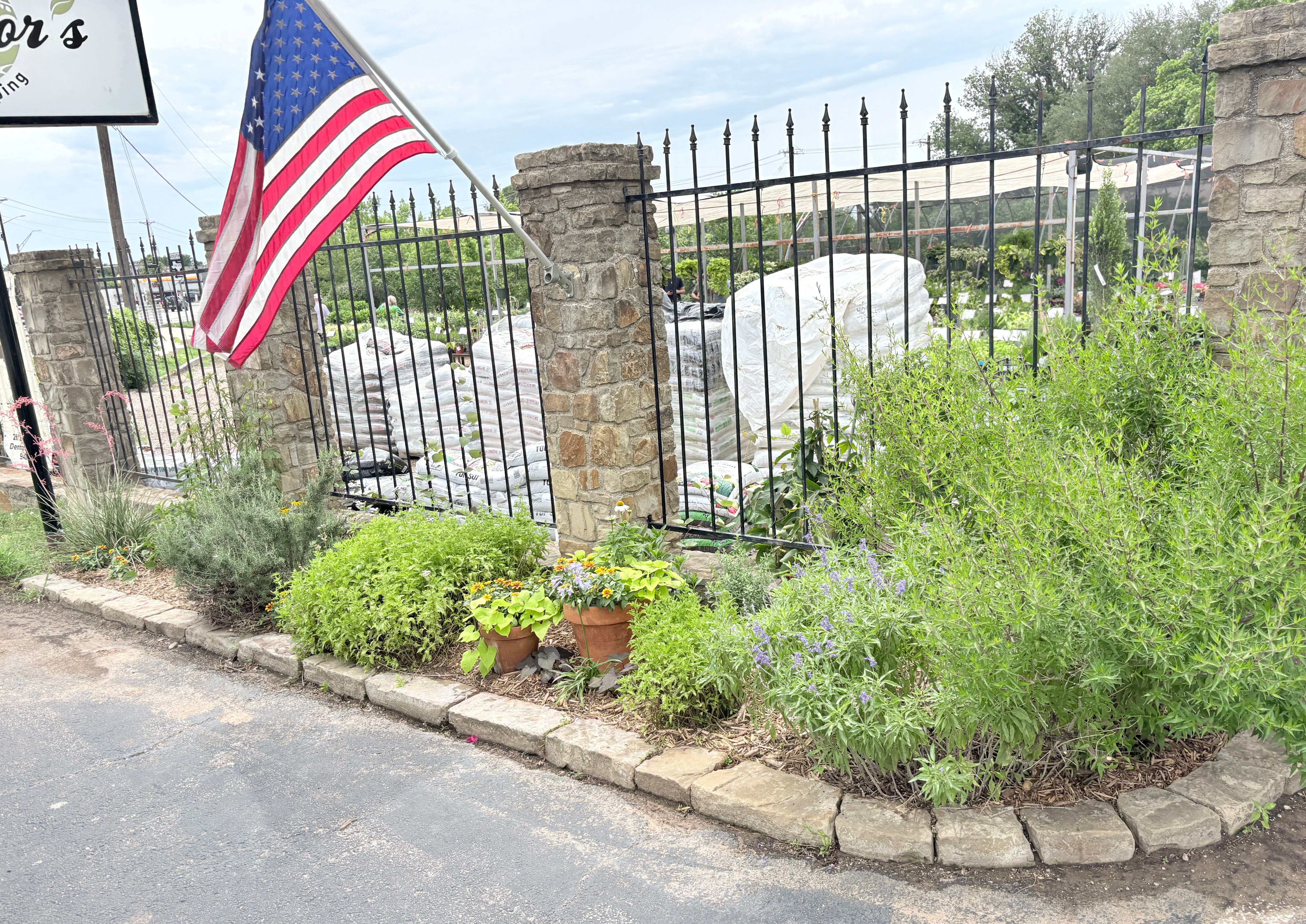 Nursery Front Bed Fourth of July 2026