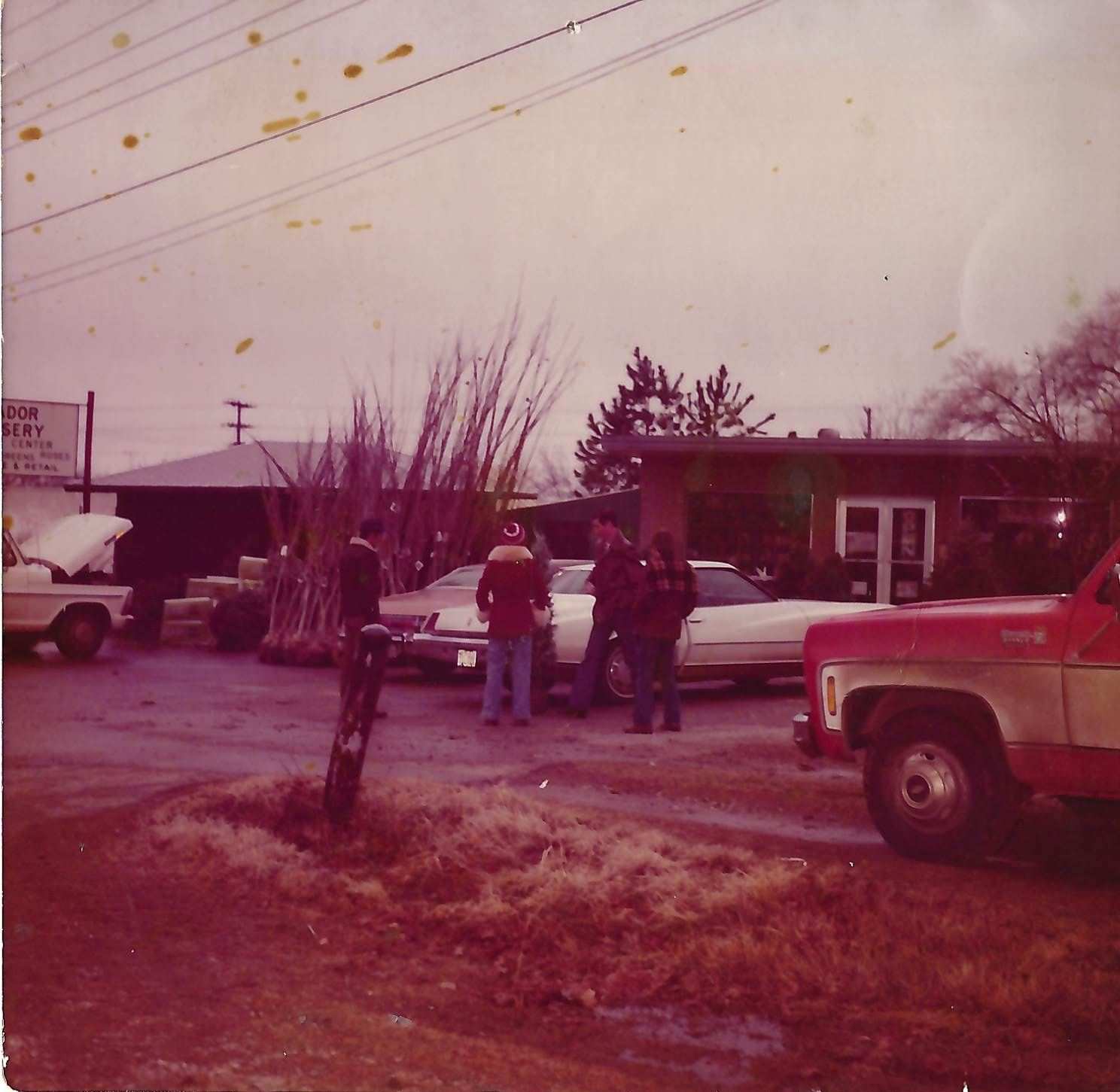 Meador Nursery from 377 in the 70s