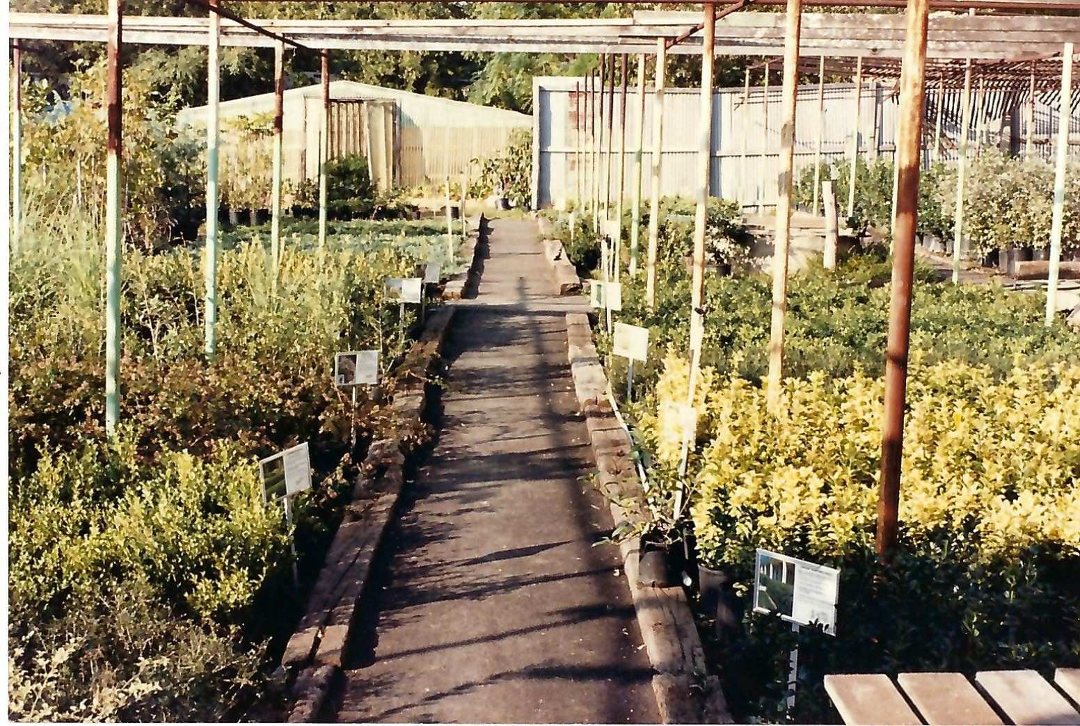 Meador Nursery stock 1990s
