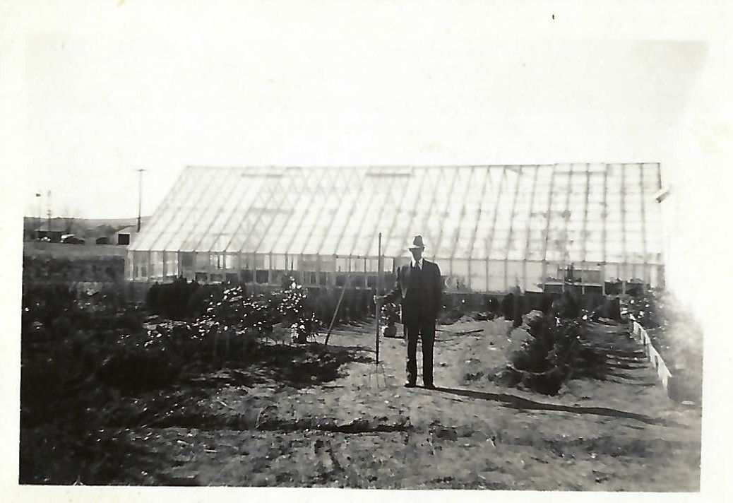 Meador Nursery First Greenhouses 1950s