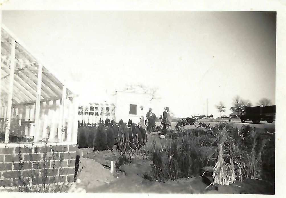 Meador Nursery first greenhouse 1950s