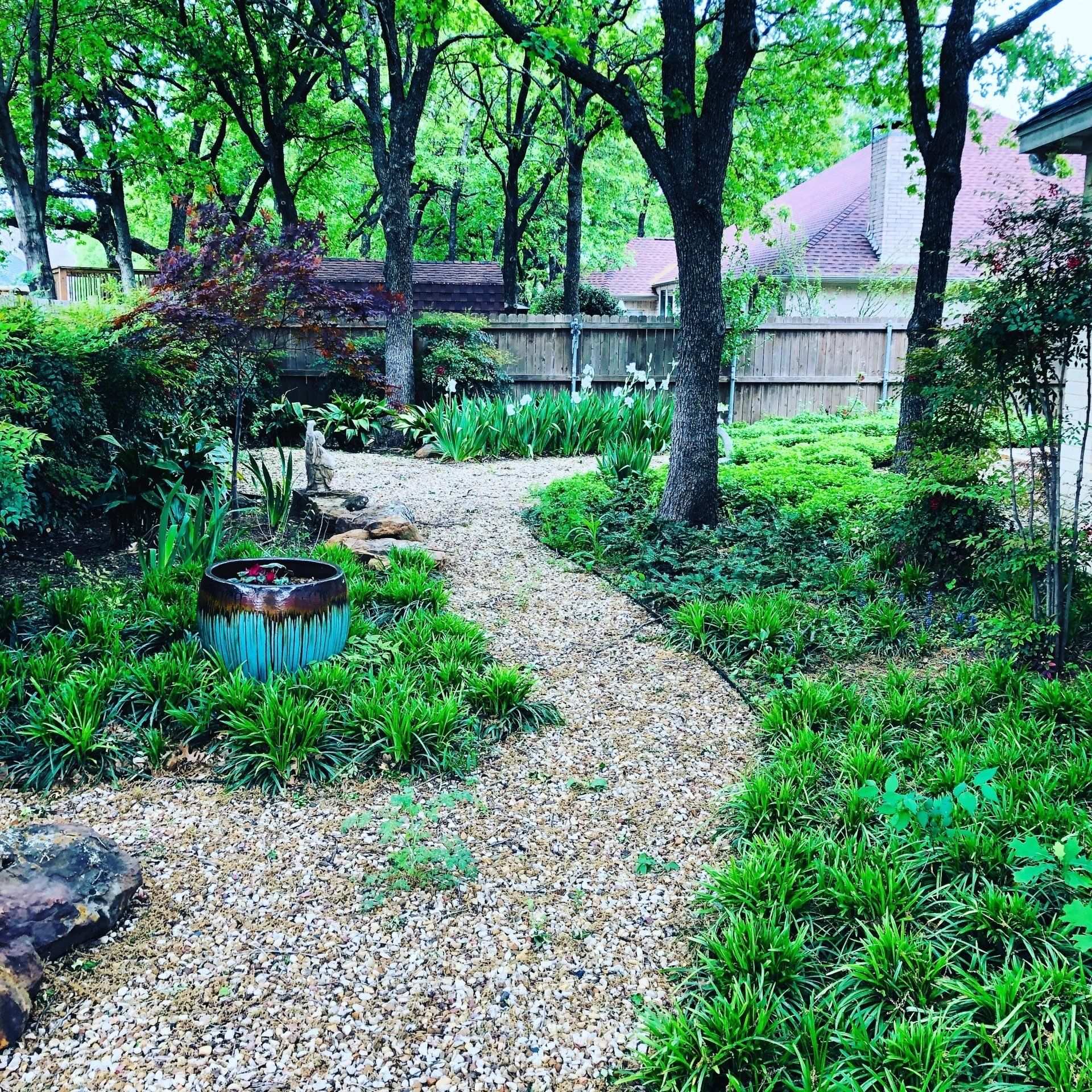 Gravel garden path winding through shaded plantings