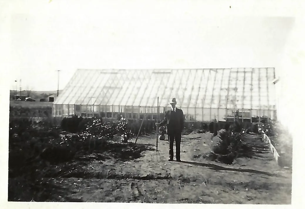 A man in a suit and hat standing in worked ground in front of a long glass greenhouse, with young stock planted in rows on either side