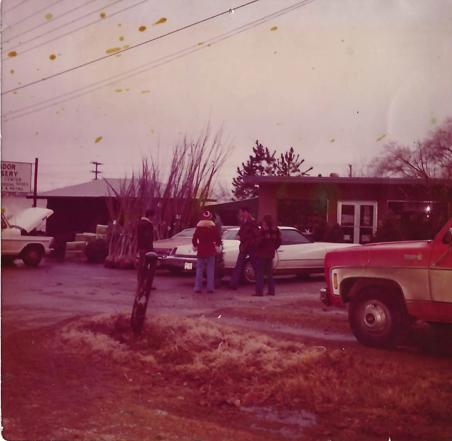 Customers beside parked cars in the lot on a winter day, in front of the nursery building and its roadside sign