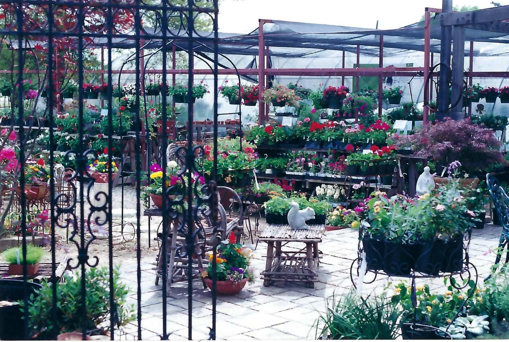 Meador Nursery view into left gate 1990s