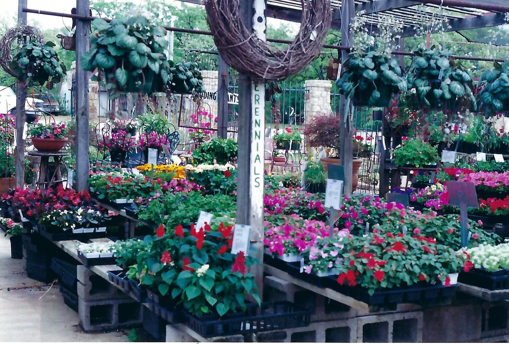 Meador Nursery view towards left gate 1990s