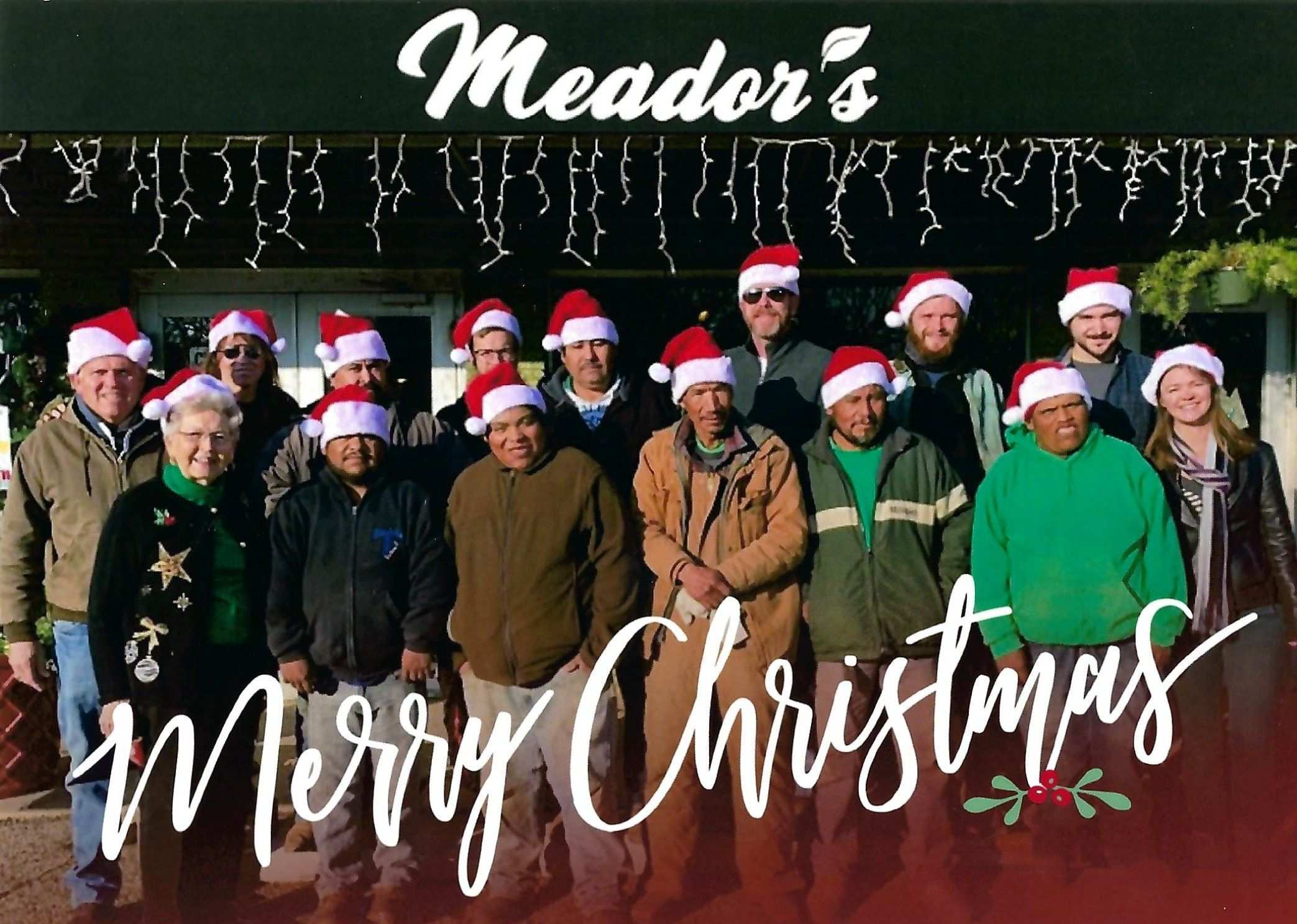 MEador Nursery Christmas Card 2020s
